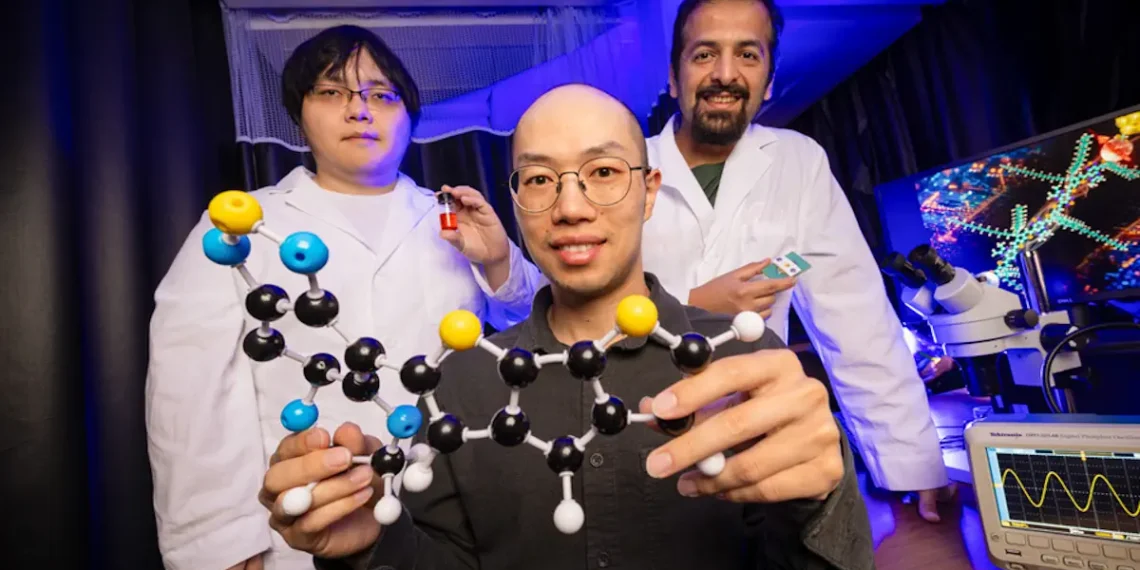 Une molécule unique pourrait conduire à des ordinateurs plus petits et plus efficaces
