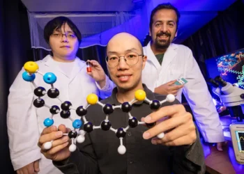 Une molécule unique pourrait conduire à des ordinateurs plus petits et plus efficaces