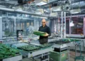 Un substitut naturel aux pesticides