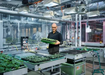 Un substitut naturel aux pesticides
