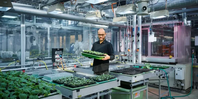 Un substitut naturel aux pesticides