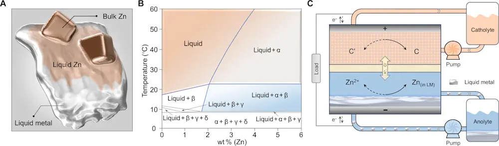 Fig. 1. Caractéristiques du Zn dans le LM. (A) Schéma du Zn dissous dans le LM pour former un alliage eutectique à température ambiante. (B) Diagramme de phase d'un système Zn-LM. Les rapports de poids fixes de LM sont les suivants : 68,5 % pour Ga, 21,5 % pour In et 10,0 % pour Sn. (C) Schéma d'un Zn-FB assemblé avec LM. C/C′, catholyte à l'état oxydé/réduit.