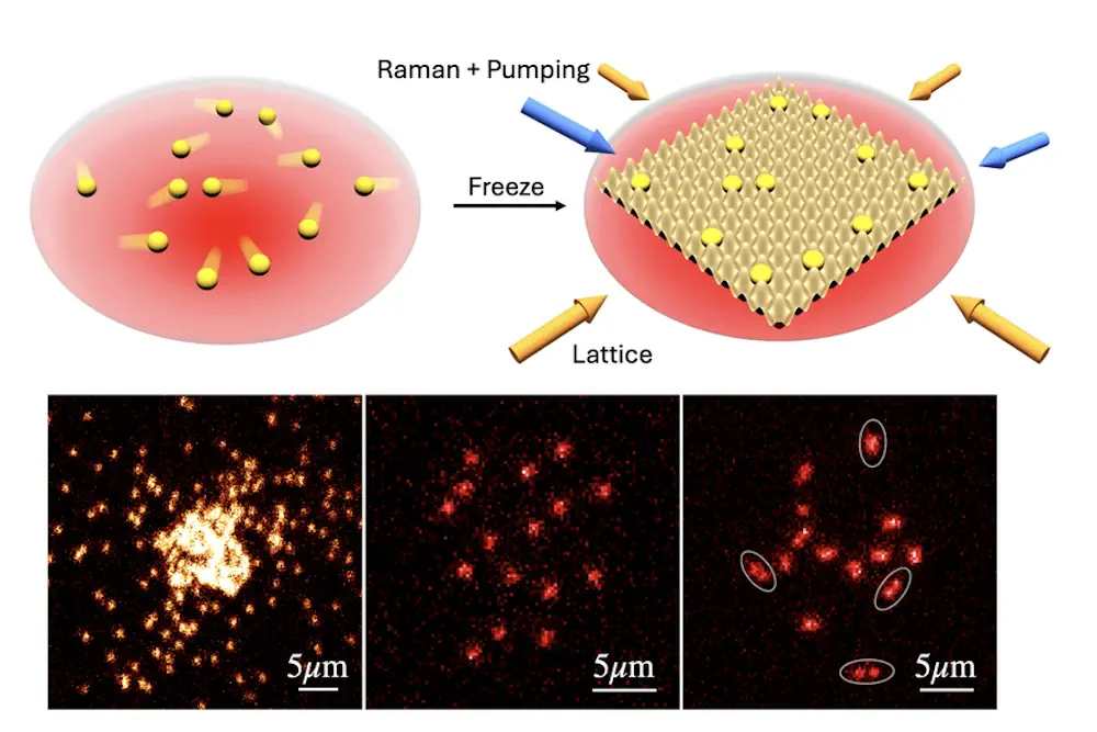 En haut : deux rendus montrent comment des atomes itinérants dans un piège à atomes (rouge) sont soudainement gelés en place par l'intermédiaire d'un réseau optique appliqué et imagés par le refroidissement de la bande latérale Raman. En bas : Trois images microscopiques montrent (de gauche à droite) le 23Na bosonique formant un condensat de Bose-Einstein, un état de spin unique dans un mélange de Fermi 6Li à faible interaction, et les deux états de spin d'un mélange de Fermi à forte interaction, révélant directement la formation de paires.
