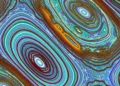 Une équipe de scientifiques texans résout un problème majeur pour l'énergie de fusion