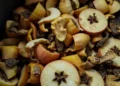 Les fruits et les microbes stimulent la production de biogaz et la fermentation