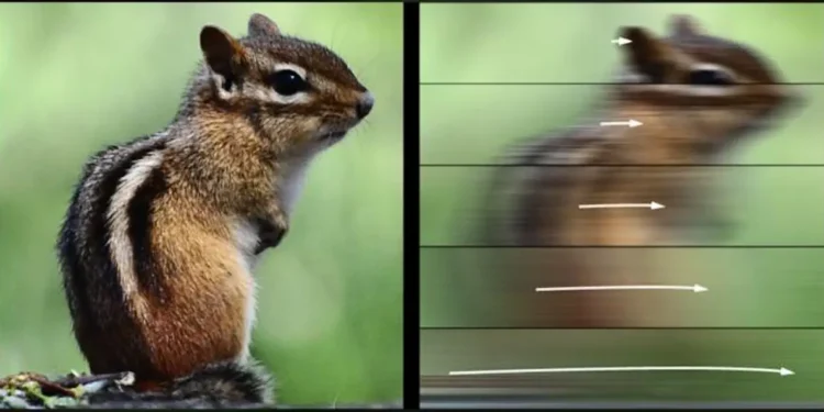 Les mouvements oculaires prédisent les limites de vitesse dans la perception. Adapté par Martin Rolfs.