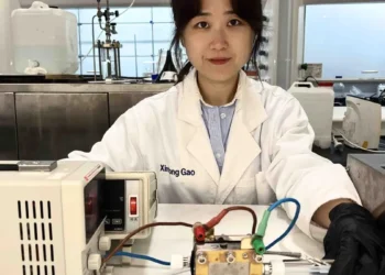 L'urine, et non l'eau, pour une production efficace d'hydrogène vert