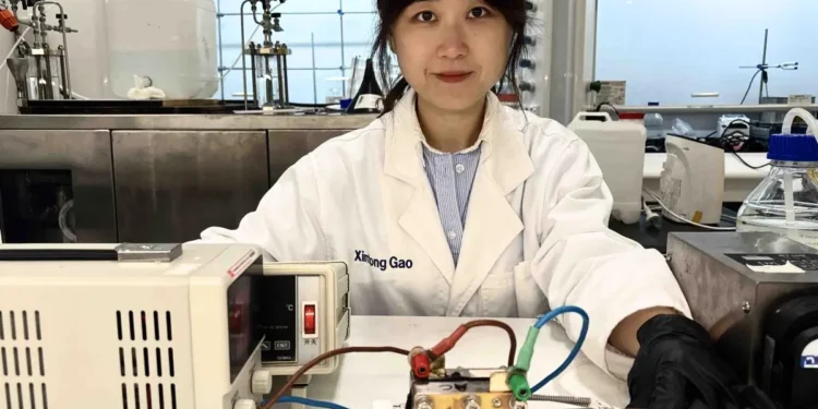 L'urine, et non l'eau, pour une production efficace d'hydrogène vert