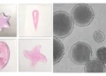 Une méthode d'impression 3D in vivo guidée par ultrasons révolutionne la médecine régénérative