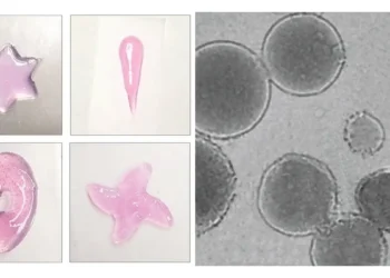 Une méthode d'impression 3D in vivo guidée par ultrasons révolutionne la médecine régénérative