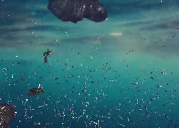 Un système intégré pour capturer et éliminer les microplastiques des masses d'eau