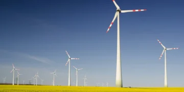 Les énergies renouvelables réduisent-elles la production de combustibles fossiles aux États-Unis ?