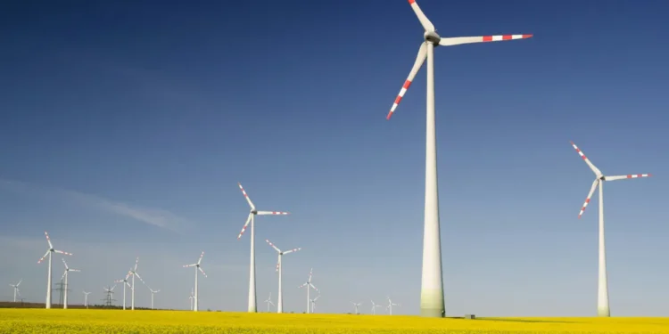 Les énergies renouvelables réduisent-elles la production de combustibles fossiles aux États-Unis ?