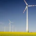 Les énergies renouvelables réduisent-elles la production de combustibles fossiles aux États-Unis ?