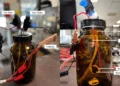 Une percée scientifique rapproche les batteries"respirantes" au CO2 de la réalité