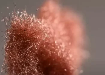Le non-tissé métallique : un matériau pour les batteries du futur