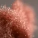 Le non-tissé métallique : un matériau pour les batteries du futur