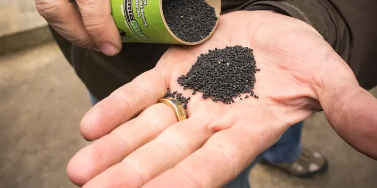 Carbonité, la plus grande usine de capacité industrielle de biochar au Canada
