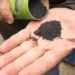Carbonité, la plus grande usine de capacité industrielle de biochar au Canada