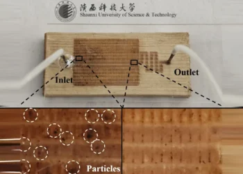 Des chercheurs démontrent une détection sensible du plomb avec des puces microfluidiques à base de bois