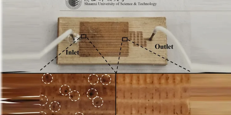 Des chercheurs démontrent une détection sensible du plomb avec des puces microfluidiques à base de bois