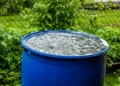 Eaux de pluie et eaux grises : dans quelles conditions est-il autorisé de les réutiliser en France ?