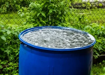 Eaux de pluie et eaux grises : dans quelles conditions est-il autorisé de les réutiliser en France ?