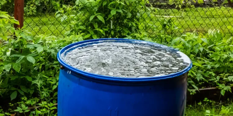 Eaux de pluie et eaux grises : dans quelles conditions est-il autorisé de les réutiliser en France ?