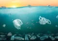 Recycler les plastiques pour protéger les océans, une illusion face à la surproduction ?