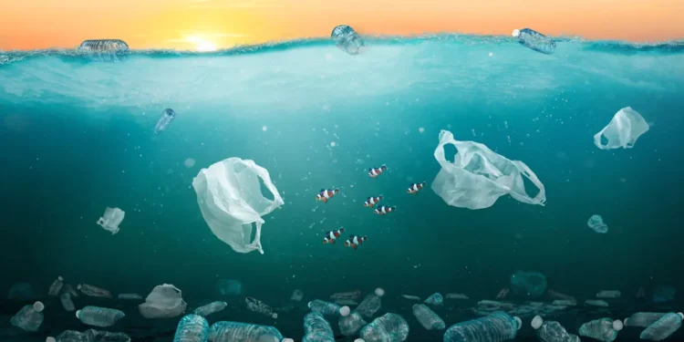 Recycler les plastiques pour protéger les océans, une illusion face à la surproduction ?