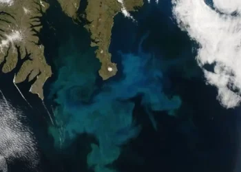 « Fertiliser » les océans pour capter le CO₂ : solution miracle ou mirage écologique ?