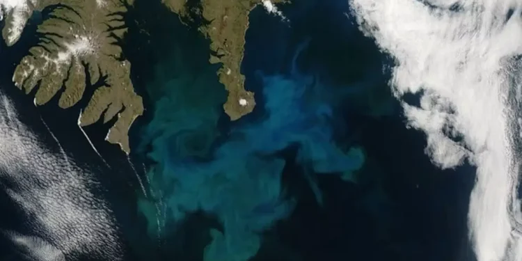 « Fertiliser » les océans pour capter le CO₂ : solution miracle ou mirage écologique ?