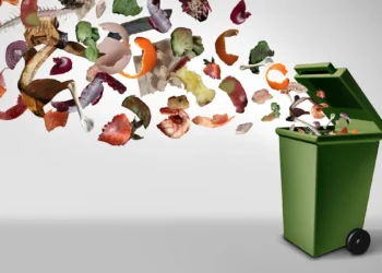 Déchets alimentaires : à quoi va servir le nouveau tri à la source ?