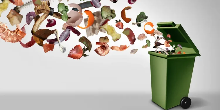 Déchets alimentaires : à quoi va servir le nouveau tri à la source ?