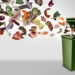 Déchets alimentaires : à quoi va servir le nouveau tri à la source ?