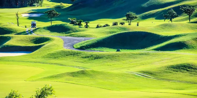 Les données sur le gazon peuvent améliorer les estimations des émissions de gaz à effet de serre en milieu urbain