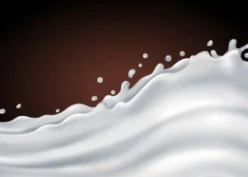 Des fibres comestibles et biodégradables à base de protéines de lait et de cellulose