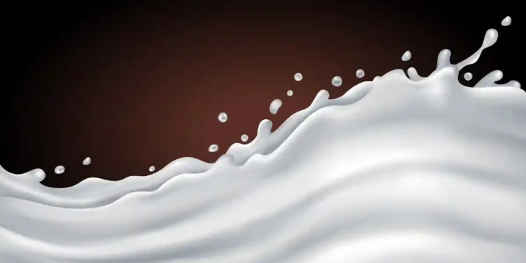 Des fibres comestibles et biodégradables à base de protéines de lait et de cellulose