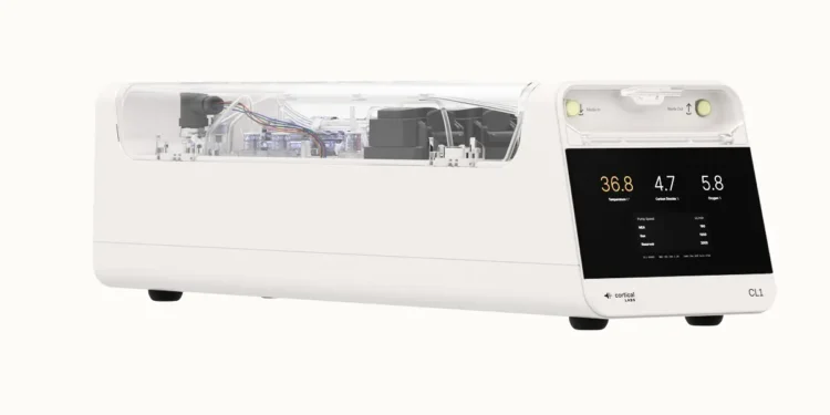 Une startup australienne met des neurones humains dans un ordinateur pour repenser l'intelligence artificielle