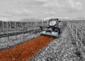 Broyeurs forestiers pour tracteurs : choisir le bon rotor pour allier puissance et efficacité