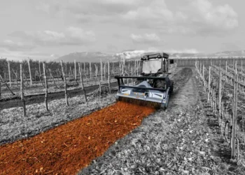 Broyeurs forestiers pour tracteurs : choisir le bon rotor pour allier puissance et efficacité