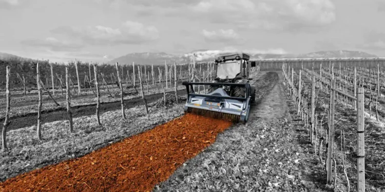 Broyeurs forestiers pour tracteurs : choisir le bon rotor pour allier puissance et efficacité