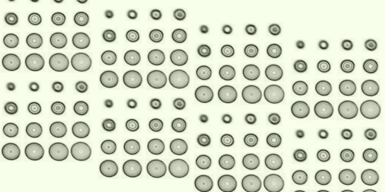 Un ''arc-en-ciel'' pour corriger les affinités électroniques des atomes