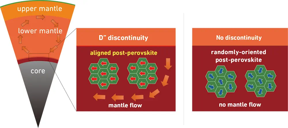 Sans la couche D, les cristaux de post-perovskite s'aligneraient de manière aléatoire (à gauche). Le courant de convection dans le manteau sous la couche D aligne tous les cristaux dans la même direction.