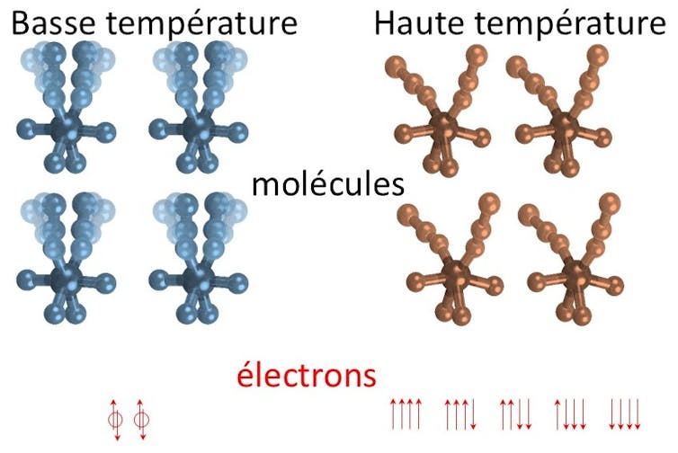 Dans le matériau étudié, les molécules sont désordonnées entre positions droite/gauche à basse température et gèlent suivant une des positions à haute température. Ceci est permis par la réorganisation concomitante des électrons. À basse température, les électrons dans ce matériau sont ordonnés : ils s’apparient avec des spins opposés (représenté par des flèches) et il n’existe qu’une configuration électronique. À haute température, les électrons célibataires peuvent prendre l’un des deux spins, sans contrainte, et il existe cinq configurations possibles.
