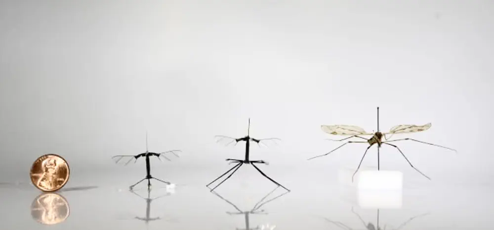 Le RoboBee peut voler, plonger et planer comme un véritable insecte - Laboratoire de microrobotique de Harvard