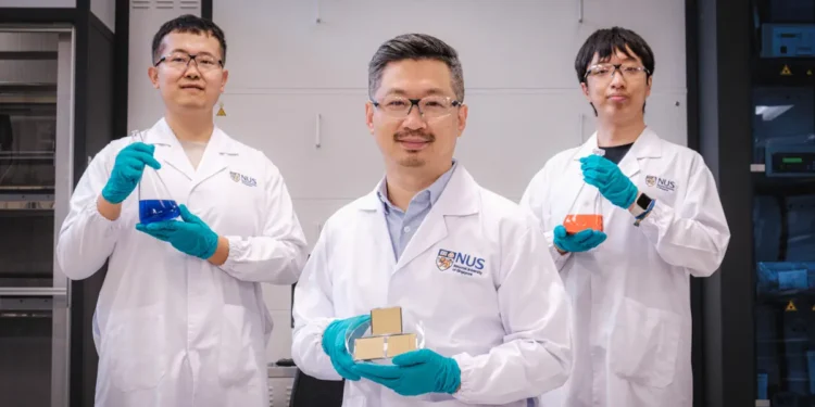 Des chercheurs créent une cellule solaire tandem pérovskite record avec une nouvelle molécule captant le proche infrarouge (NIR)