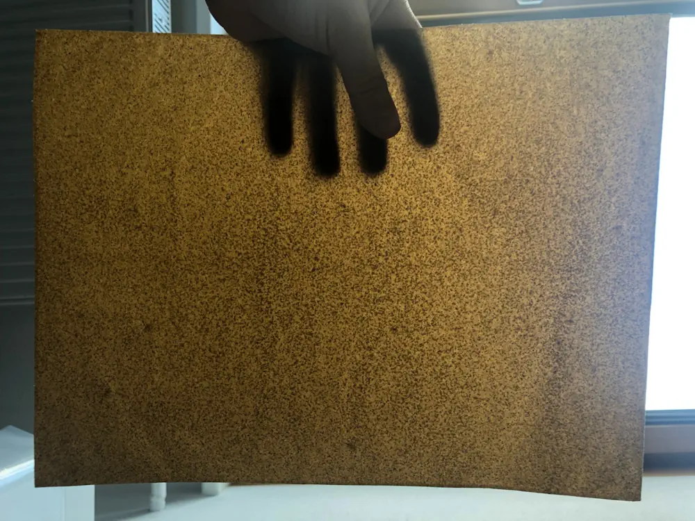 Le film compostable fabriqué à partir de polymères non modifiés se décompose plus rapidement que les assiettes en papier.