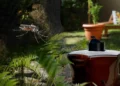 Comment lutter efficacement contre le moustique tigre avec une solution scientifique éprouvée ?