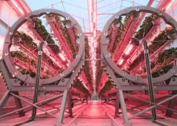 200 000 fraises récoltées en un mois grâce aux bras robotisés de Dyson